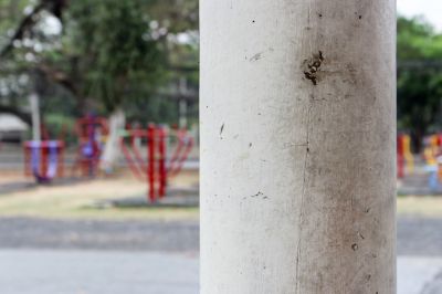 Concrete Column Installation