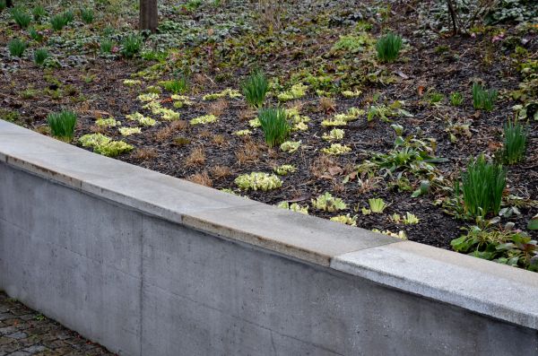 Retaining Wall Pouring
