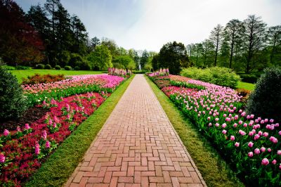 Create an Enjoyable Outdoor Experience with Pathway Design!