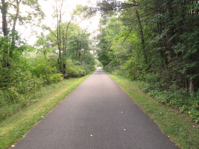 Paved Walkway Repair