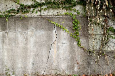 Retaining Wall Crack Repair