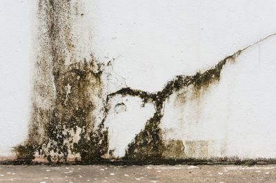 Prevent Mold and Mildew!