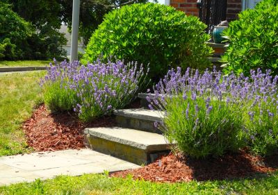 Protect Your Steps From Weathering and Damage